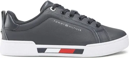 Sneakersy Tommy Hilfiger - Tricolor Insert Sneaker FW0FW06729 Desert Sky DW5