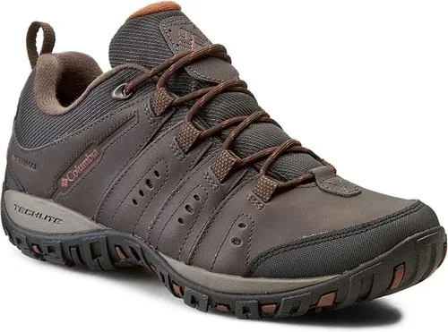 Trekingová obuv Columbia - Peakfreak Nomad Waterproof BM3924 Cordovan/Cinnamon 231